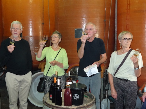 Activité découverte de vins et dégustation lors des cours de français avec Ludo Expression, Carcassonne